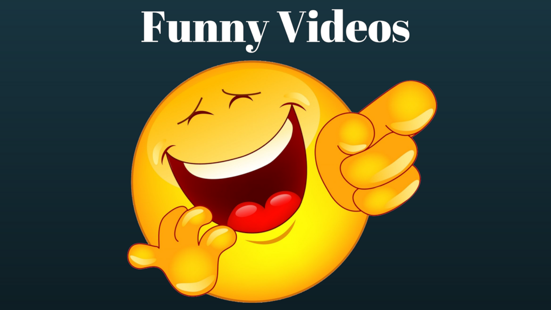 Funny Videos